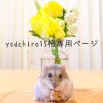 ysdchiro15様専用ページ