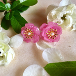 夏薔薇ぴあす