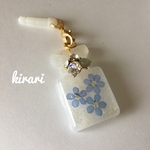  勿忘草のキラキラ イヤホンジャック iPhone スマホ アクセサリー 押し花 素材