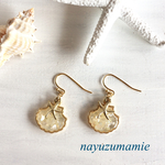 ∵∴shell &starfish∵∴レジン:ピアス【519】