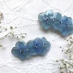 空色紫陽花
