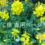 C様 専用ページ