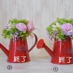 母の日サービス品（ブリキのジョーロ・赤）