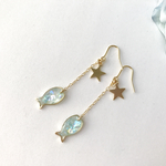 星を追いかけるお魚