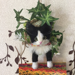 羊毛フェルトハチワレ猫の壁掛け