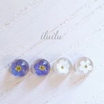 安かわ♡小さな勿忘草のピアス　10㎜【ピアス・イヤリング】/プチプラ/レジン/ノンホールピアス/かわいい/人気/浴衣/春/夏/ワスレナグサ/押し花/花/フラワー