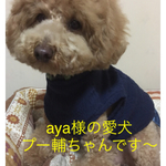 aya様専用