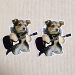 ペット&ギター