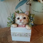 いたずら仔猫ちゃん
