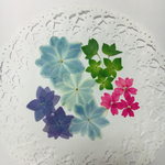 再販‼︎ 押し花 素材 紫陽花 《万華鏡》