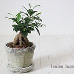 minakokomuさま専用オーダーページ