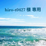 hiro-t0427 様専用