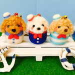サマーマリントイプードル🌈