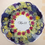 ♡sale♡¥1000→¥800 送料無料 押し花セット