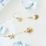 夏に！.+:｡ 貝とパールのピアス ｡:+.