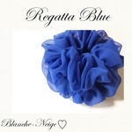 ラスト4こ⭐Regatta Blue