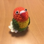 ボタンインコちゃん（ヤマブキボタン）