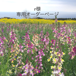 お客様専用ページ