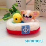プール楽しい♪チワワ&ひよこ