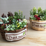緑いっぱい寄せ植えカゴ(ありがとうを手の平に)