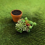 F様ご予約品♪多肉植物の寄せ植え風ヘアクリップ&ブローチ（プランツポット付き）