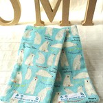 汗ふきタオル キッズサイズ 2枚セット