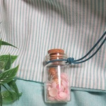 星の砂と桜貝のお守り。+.；。
