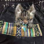 羊毛フェルトキジトラ猫のブローチ