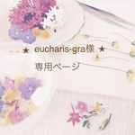 eucharis-gra様専用ページ
