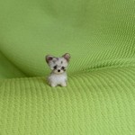 チワワ チョコマール パピー 羊毛フェルト