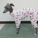 イタグレ服スムースニットのロンパース