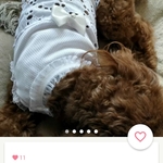 ｇｒo5sさま専用
