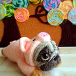 着ぐるみパグさん🎵ブタ🐷