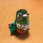 お胸が可愛い♡ウロコインコちゃん（中型インコ）
