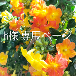 h様 専用ページ