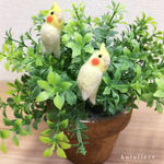 【柴わんこさま】鳥 イヤホンジャック ～しがみつき鳥さんイヤホンジャック　”オカメインコ”  ～