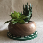 挽物屋のミニボウル　(多肉植物の寄せ植え)