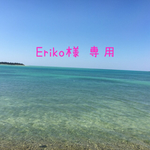 専用ページ