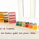 お客様ご依頼商品です‎٭¨̮ minimini trunk  ドロワーボックス set 