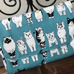 蛇腹式！びっくりなカードケース＊ボーダーCATS③
