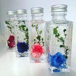 Herbarium☆スクエアボトル☆バラ☆ドライフラワー・ハーバリウム