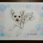 【lamu様オーダー品】愛犬イラスト