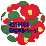 4210903様専用ページ