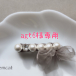 agt6様専用ページ
