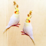 写真のピアス（インコ A）
