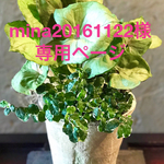 mina20161122様専用ページ