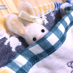 🐻　6重ガーゼケット　🐻