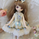 *～ブルーレース＊ローズ＊* ヤミースウィーツドール*ドレスset