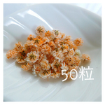 数量限定♡かすみ草ドライフラワー