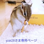 yzai28さま専用ページです。